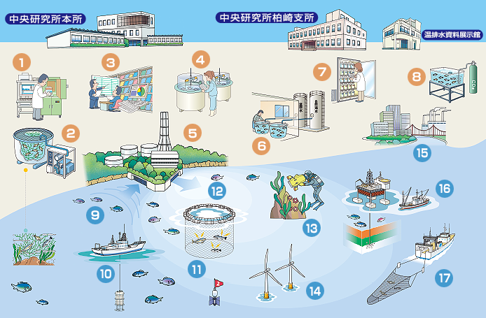 図版：陸地と海域を俯瞰したイラストに様々な調査研究の様子が描かれています。要所要所に１から６まで数字がふられて解説文に相対しています