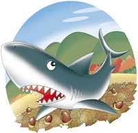 海生研 海の豆知識 Vol 29 サメ