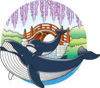 海生研 海の豆知識 Vol 55クジラ